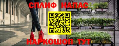spice Партизанск