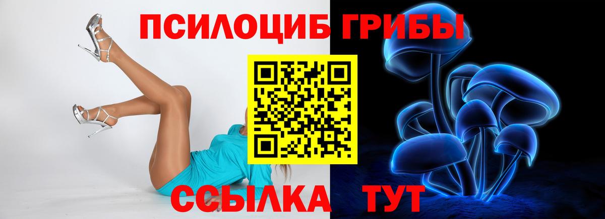 Галлюциногенные грибы MAGIC MUSHROOMS Россошь